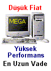 fiperf.gif (4678 bytes)